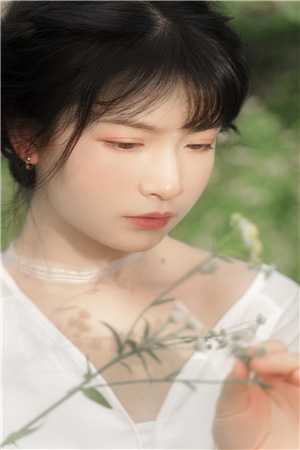 我穿成了恶毒女npc叶景文叶修辰全文免费阅读完结版阅读