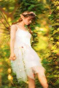 打脸兼祧两房的探花郎夫君顾探花玉儿完结版全本小说在线阅读