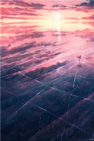 一见青山云端月无弹窗沈廷淮苏慕绾最新章节免费阅读