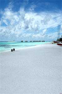 男友将我的私密照以六元价格卖出后，他悔疯了江承之沈清棠免费阅读完整版在线