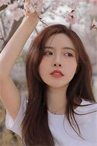 我在余晖深处等你孟荆州林倾月免费小说在线阅读全集完结版免费阅读