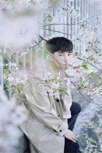 爆发好运体质，我带全家疯狂吸金卷卷司锦宸小说全文免费阅读txt在线阅读