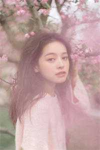 夫君高中状元之日，我却被休卖入青楼沈修竹修竹全文免费阅读无弹窗大结局