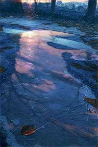 和装病总裁扯证后，换妻的前男友悔疯了傅瀛洲顾逸兴最新小说免费阅读