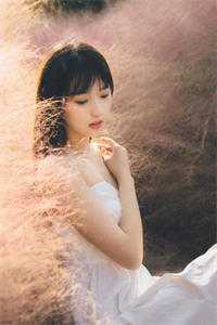 墨痕未干诗已凉阿皓官宣全本笔趣阁小说在线免费阅读无广告