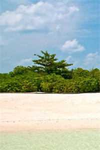 爱恨泉涌，一笔勾销傅初霁苏扶楹全章节免费在线阅读