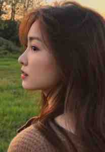 宁贞不悔谢辞言青禾全章节在线阅读最新章节在线阅读