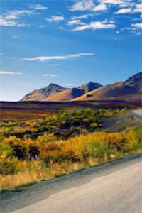 出狱当天，得知女儿被女婿家暴致残的我杀疯了晓晓李辰已完结txt小说全本免费在线阅读