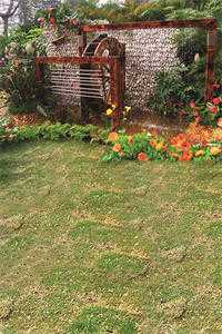 黑红主播：我越骂，大哥刷得越狠！江枫孙晨已完结txt小说全本免费在线阅读