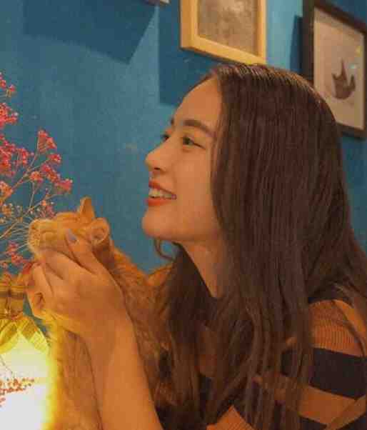 丁克老婆迎回双胞胎，我消失了方以安文舒言全集在线阅读下载