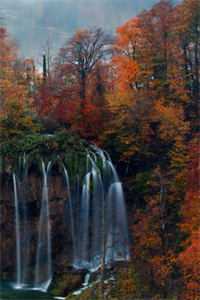 月光也曾为我停留叶菱顾承在线阅读免费阅读完整版小说