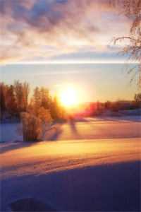 一等功臣女儿被欺辱致死后，我跪求军区主持公道！杨韦勇王露诗全集在线阅读下载