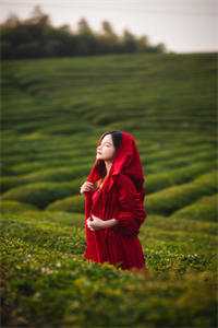 借时光与你分离周靳言秦姜最新章节阅读全文免费阅读