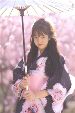 奈何情不渡她顾允柳如月全文免费在线阅读完整版全本