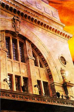 表白九十九后，我离开了裴厉洲叶清禾最新章节列表笔趣阁