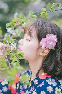 安陵容重生后：她比甄嬛更像纯元安陵容甄嬛全本笔趣阁小说在线免费阅读无广告