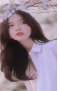 骄狂富少恋爱惨遭滑铁卢，他更疯了沈霜梨谢京鹤最新章节列表笔趣阁