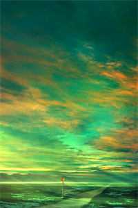 潮起时问归期江以蓁秦司礼全文免费阅读无弹窗大结局