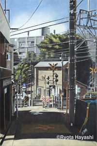 以爱为由，他囚我在心房沈时渊南柯全章节免费在线阅读