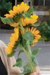 嫁给无根老公后，我舔了十年的佛子总裁急红了眼傅思年谢琛最新章节免费阅读