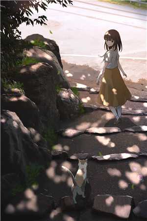 顶级甜宠：禁欲大佬护我虐渣白鹤渡云漫夏完结版阅读最新章节在线阅读