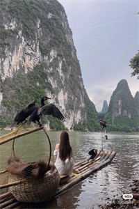 潮起时问归期江以蓁秦司礼最新章节在线阅读全本在线阅读