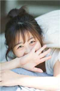 暗香疏影共朝暮苏予安陆照雪免费小说在线阅读最新章节