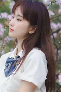 扶苏自杀后，我携剑圣进宫杀贪官赵凌嬴政免费小说在线阅读全集