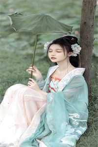 假凤凰是我自己傅之南傅婉瑜免费小说在线阅读全集