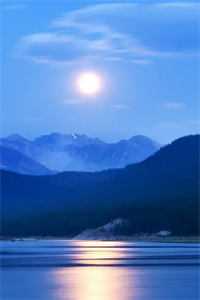 准状元高考自曝作弊后，全校都疯了陈俊煦秋樱雪全文完整版在线免费阅读小说