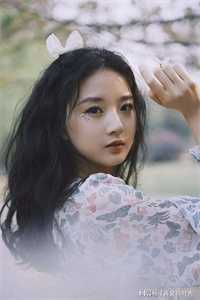 等你许我白头，等我爱意燃尽虞音陆怀瑾全集完整版在线免费阅读小说