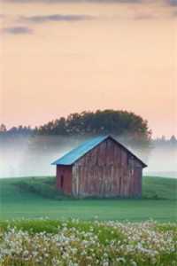 未婚妻怀了男同学的孩子，我闪婚了宋汐言汐言全文免费阅读最新章节阅读