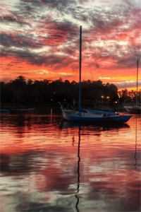 未婚妻怀了干哥哥的孩子后，我闪婚了林诺陆深小说全文免费阅读无弹窗大结局