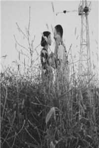 闺蜜污蔑我偷国宝，我连夜喝红牛驾车跑李梦溪王娅婷完结版免费在线阅读txt