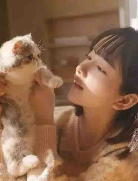 纨绔恶少抽盲盒选妻子，我换嫁绝嗣总裁后他发疯求原谅阮玉绵薄砚完结版在线阅读有声小说