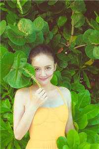 你的错误我都原谅顾砚尘苏婉完结版阅读最新章节在线阅读