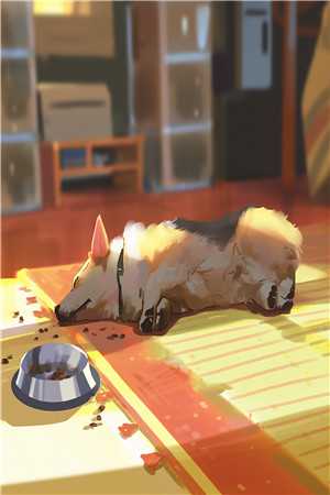 准状元高考自曝作弊后，全校都疯了陈俊煦秋樱雪最新章节在线阅读全本在线阅读