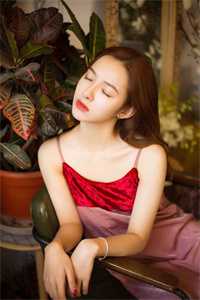 浮生若琴弦小说后续免费小说全本免费在线阅读