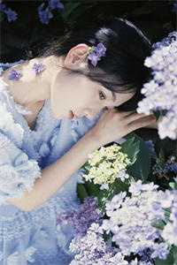 长相见长相思傅砚生宋疏影最新章节在线阅读抖音小说全本阅读