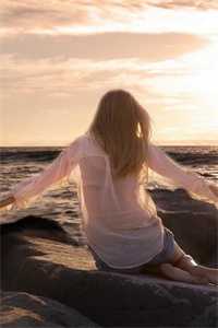 落花不折枝，你我不相见程岁安温叙言精彩小说完本小说下载