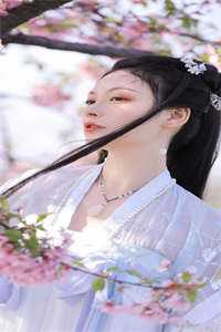 我被送进恶魔岛后疯了顾子辰晚宁完结版免费阅读全本在线