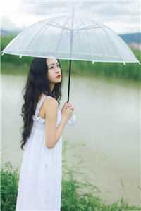 樱桃落尽春归去沈忱溪宋鹤玄最新章节阅读全文免费阅读