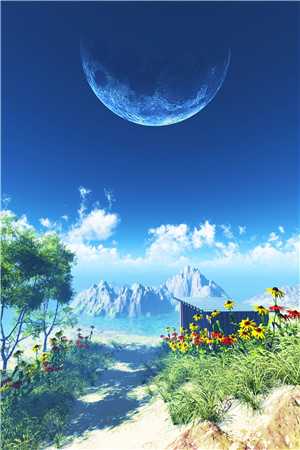 请写我一场相逢江礼郑焚意完整版小说免费阅读全文免费阅读_