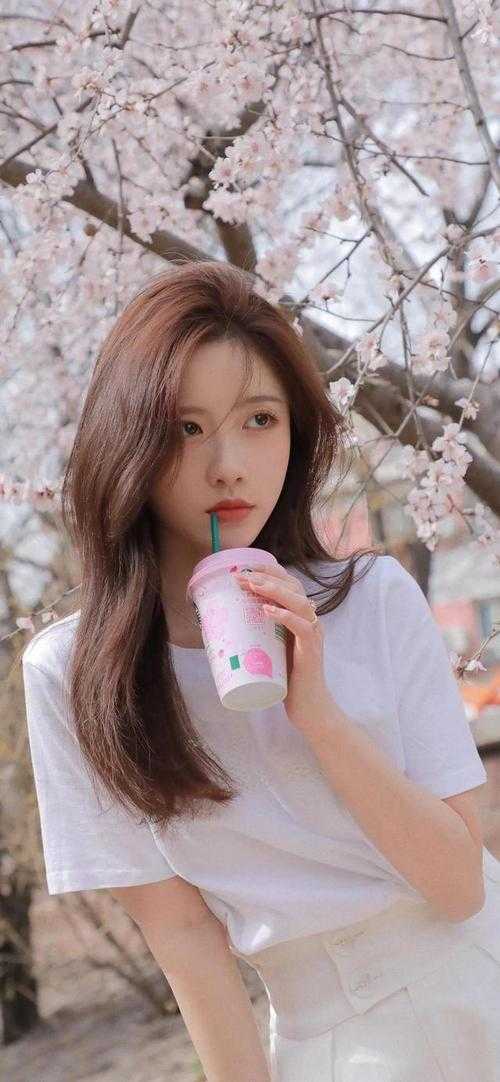 再见时，她一尸三命姜至白月光全章节在线阅读全本在线阅读