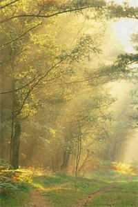 老婆不肯陪合作方喝酒，我把她打进了医院沈晚烟陆臻完结版阅读最新章节在线阅读