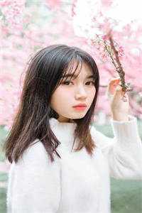 重生后，手撕写假弹幕害我的男友傅百川姜巧歌txt小说全集完整版免费阅读