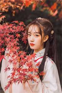 算卦破局，豪门哥哥求我回家江知意陈安然完整版免费阅读全章节在线