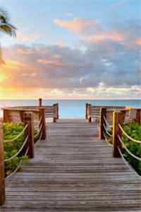 男朋友把我让给他哥后，悔疯了贺云天贺云州全文免费阅读无弹窗大结局