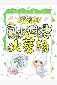 鬓边不是牡丹红：+后续+结局盛惟芳萧既明贺锦全本免费在线阅读