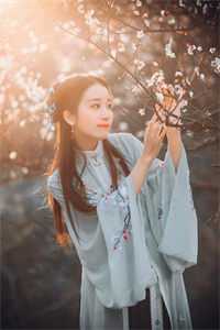 鬓边不是牡丹红：+后续+结局盛惟芳萧既明贺锦全文免费阅读听书有声小说